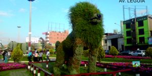 zoologico av. leguia